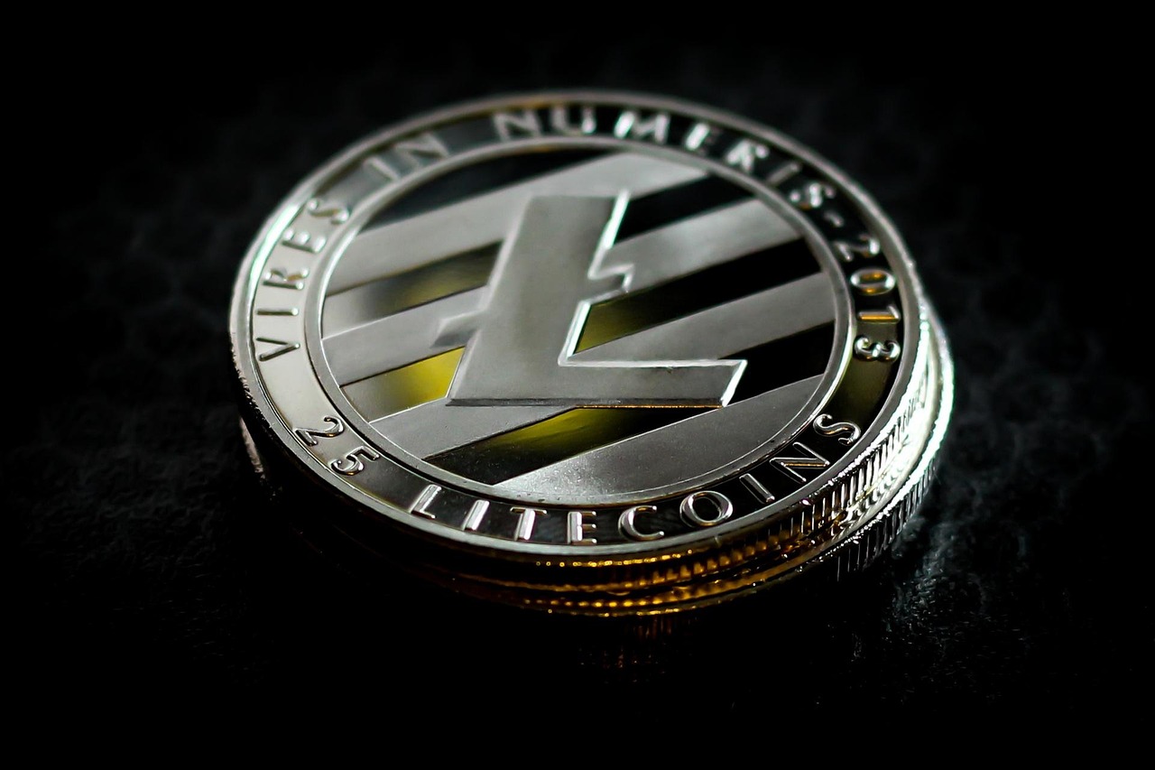公链Solayer推出USDC结算的金融卡！刷卡有机会获得代币Layer